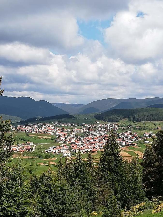 Отель Complex Pele Zmeitsa Экстерьер фото