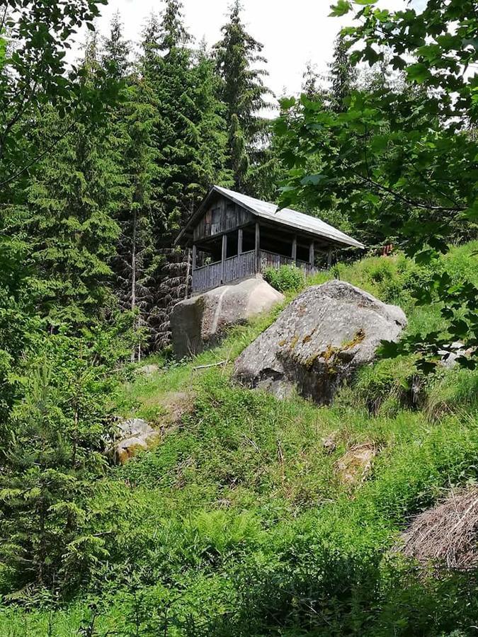 Отель Complex Pele Zmeitsa Экстерьер фото