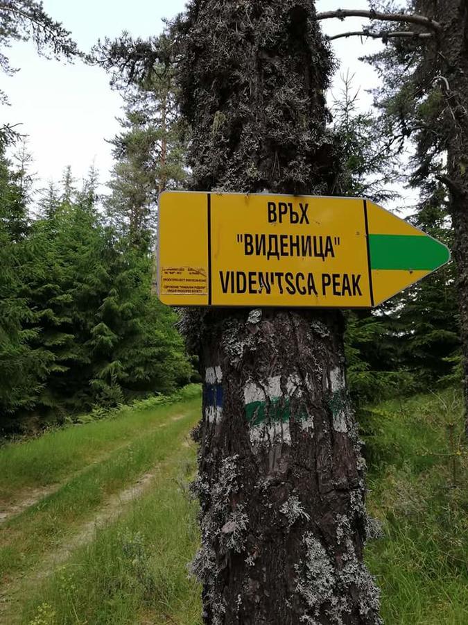 Отель Complex Pele Zmeitsa Экстерьер фото